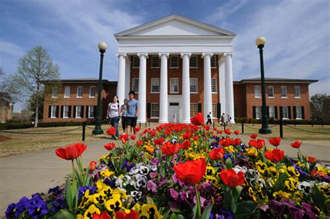 university of mississippi online degrees.